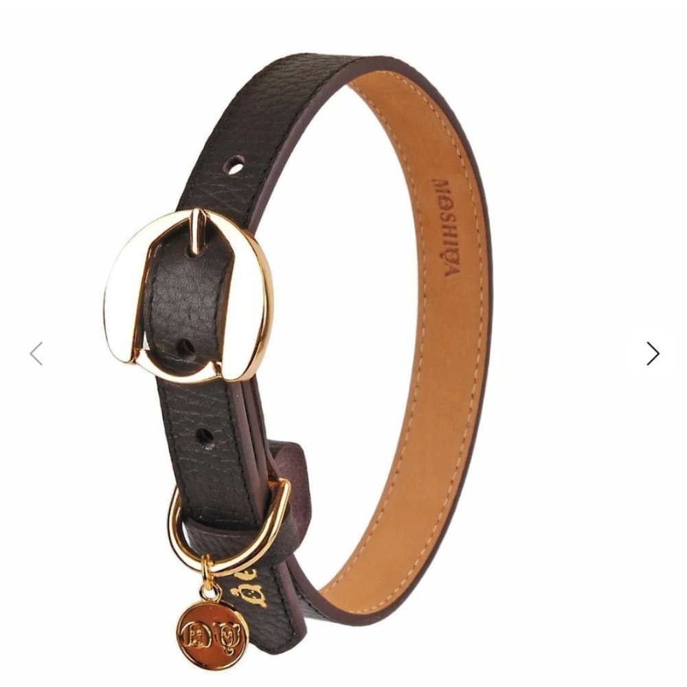Moshiqa Hachiko Dog Collar